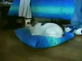 Blonde Shoves Worlds Gaint Dildo in Pussy